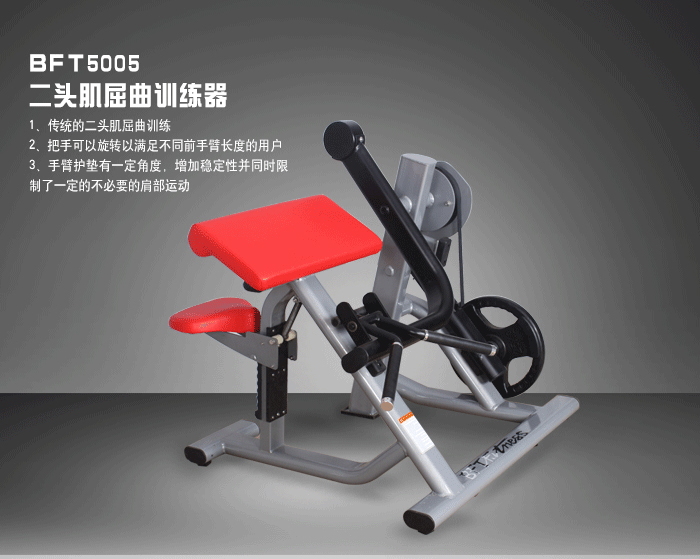 坐式二頭肌荔枝视频APP黄片