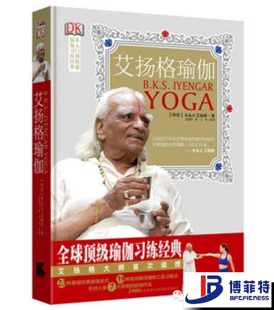艾揚格瑜伽：精準習練指南